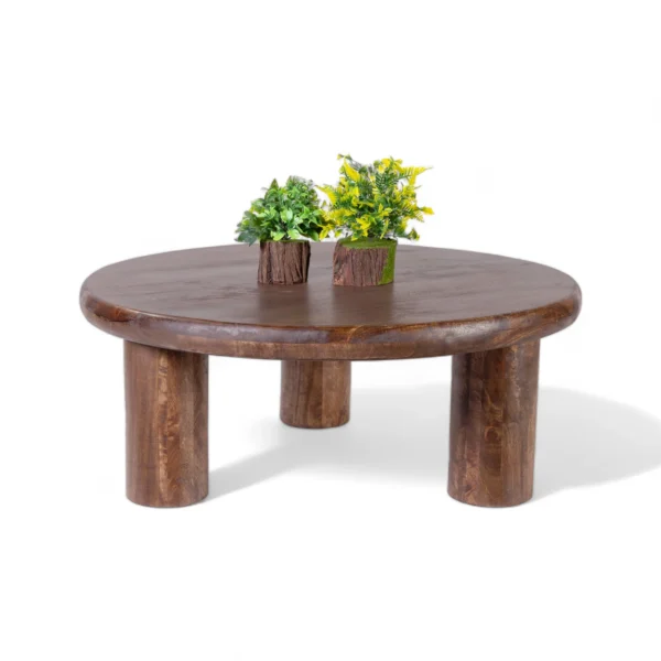 Luna Coffee Table - Image 4