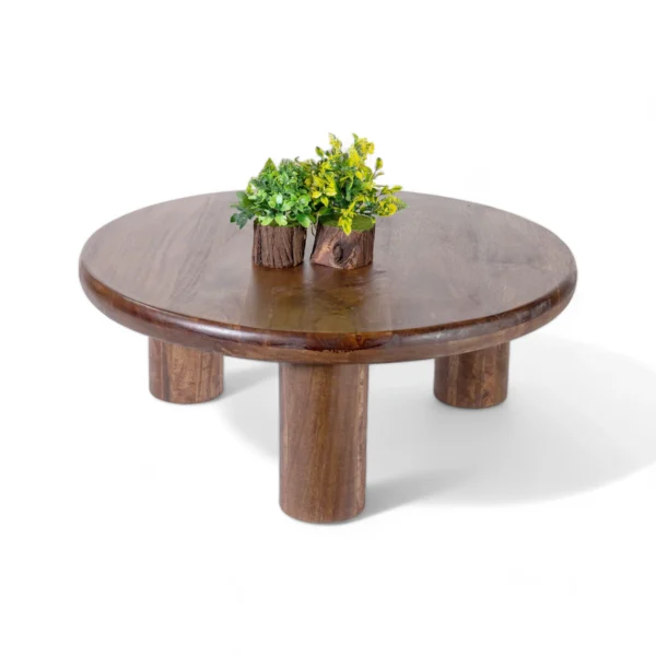 Luna Coffee Table - Image 5