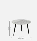 Ranthambore Coffee Table - White and Black - Image 4