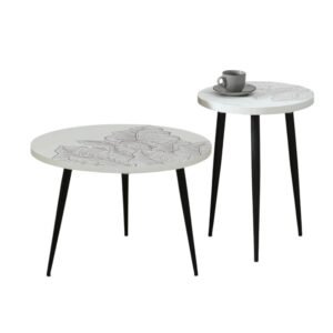 Ranthambore Nesting Table Set Of 2- Finish- White and Black