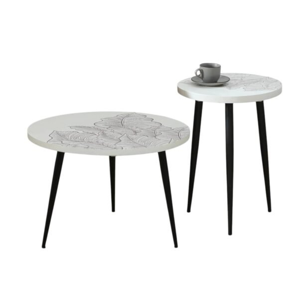 Ranthambore Nesting Table Set Of 2- Finish- White and Black - Image 1