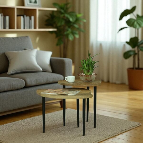 Mercury End Table Set of 2 , Finish – Natural & Black - Image 2