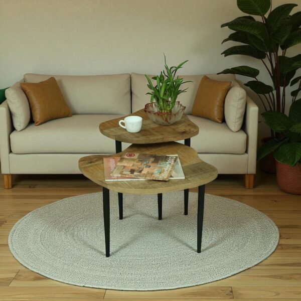 Mercury End Table Set of 2 , Finish – Natural & Black - Image 3