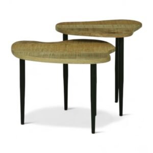 Mercury End Table Set of 2 , Finish – Natural & Black