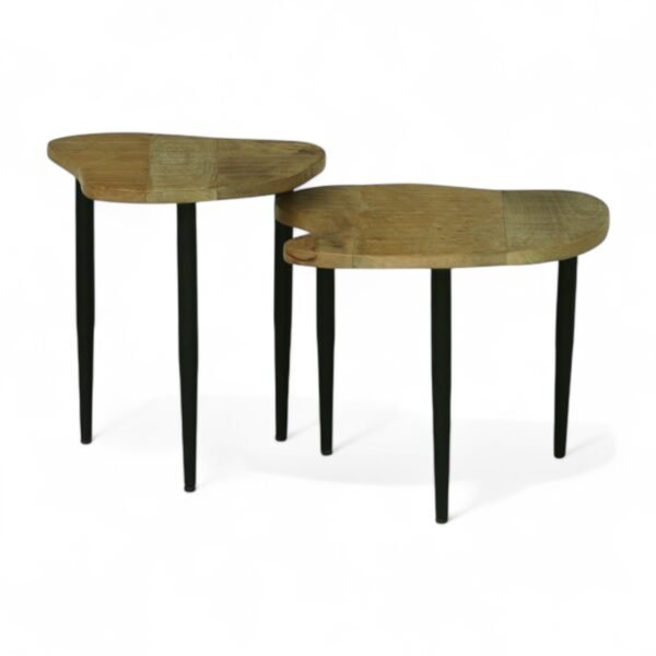 Mercury End Table Set of 2 , Finish – Natural & Black - Image 5