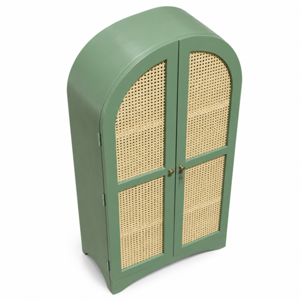 Archies 2-door Shoe Cabinet - Image 5